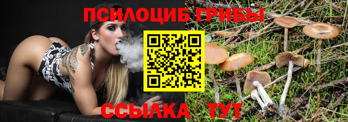 Псилоцибиновые грибы Magic Shrooms Рузаевка